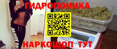 крисы Кимры