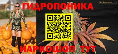 крисы Кимры