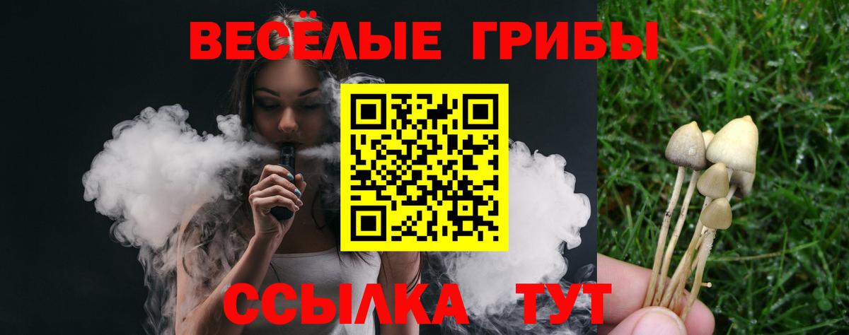 Галлюциногенные грибы GOLDEN TEACHER Переславль-Залесский
